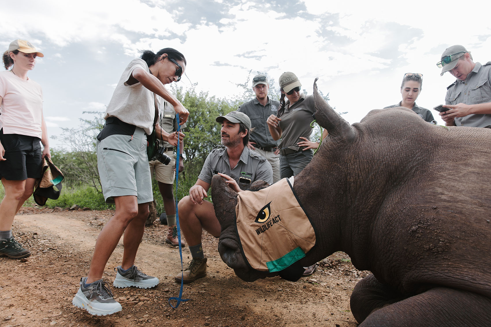 Wildlife ACT team and guests gathered around sedated rhino during dehorning operation