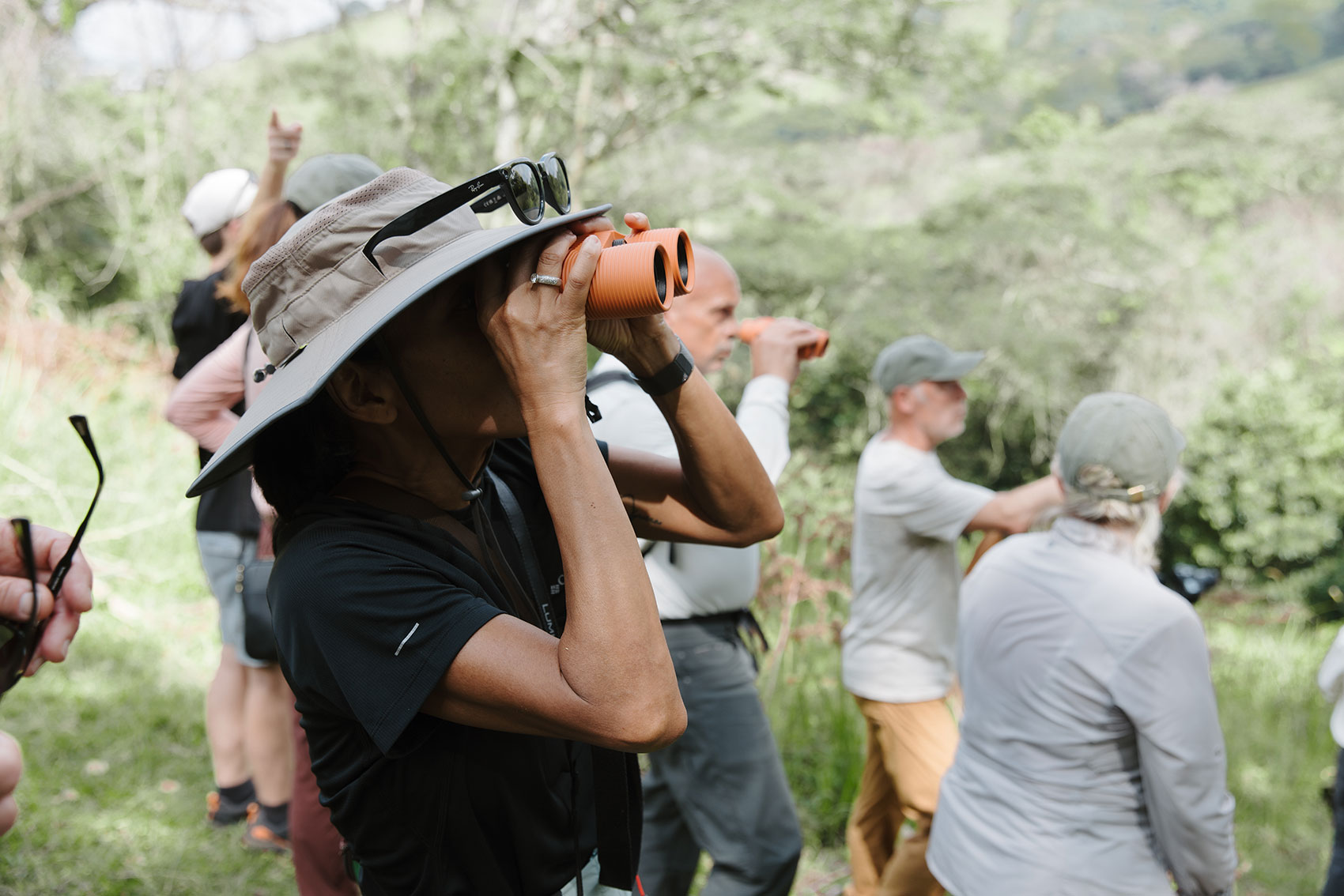 Guest using binoculars during eagle nest monitoring in the field
