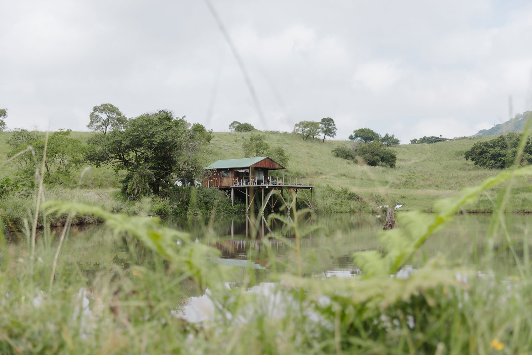Tanglewood treehouse lodge reflected in the wetland estuary