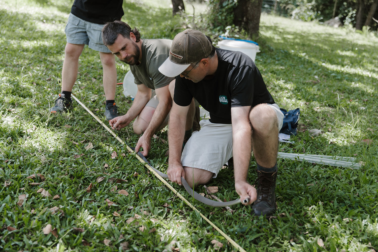 Field team measuring and PIT tagging a reptile during monitoring