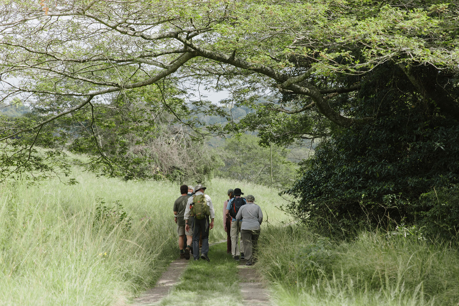 Guests on a guided walking trail through coastal grassland