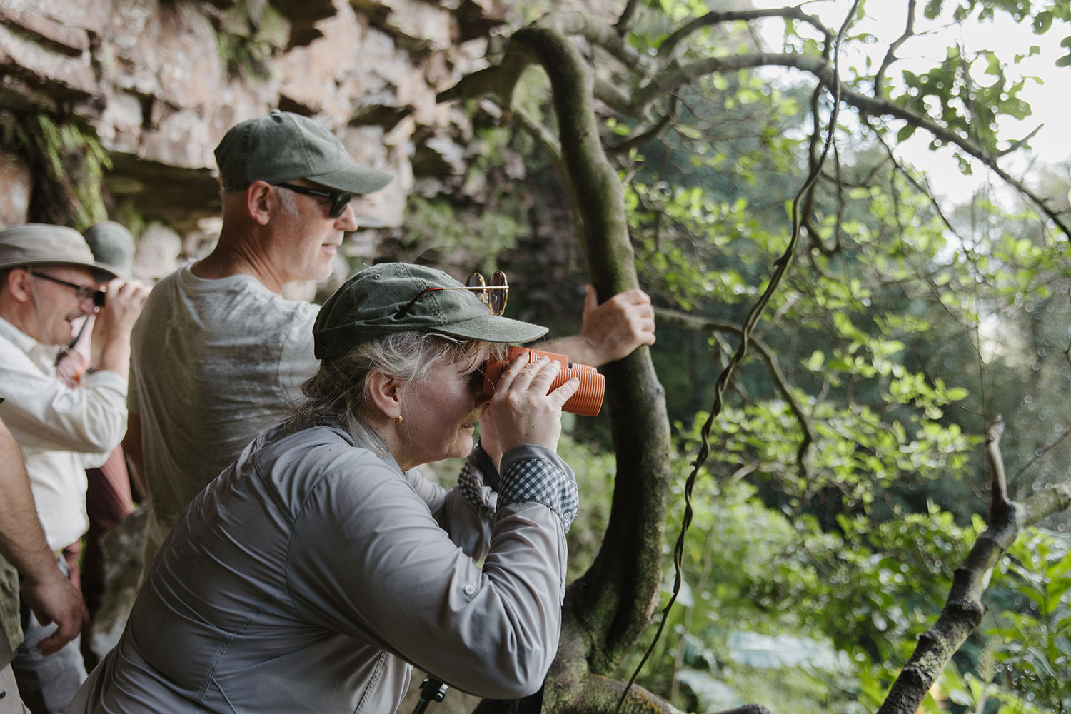 Group birdwatching with binoculars in the coastal forest