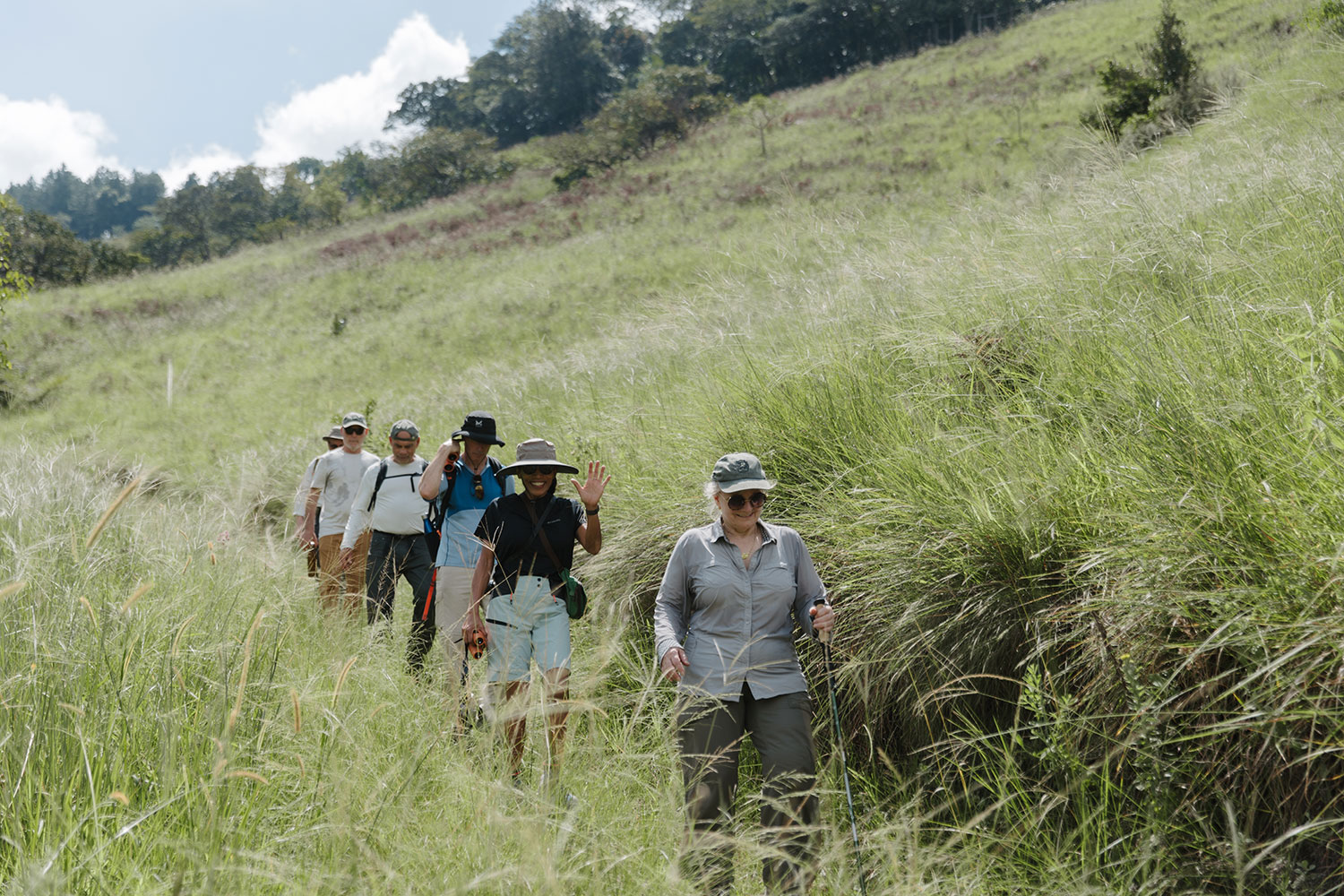 Guided walking safari through open grassland