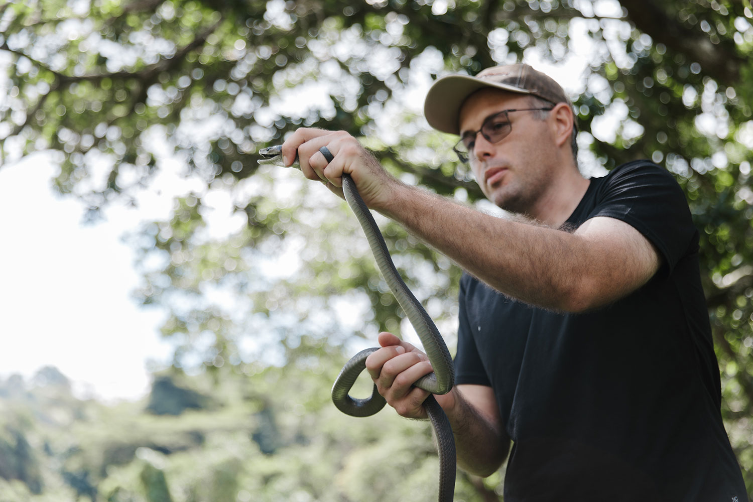Reptile specialist holding a rescued snake