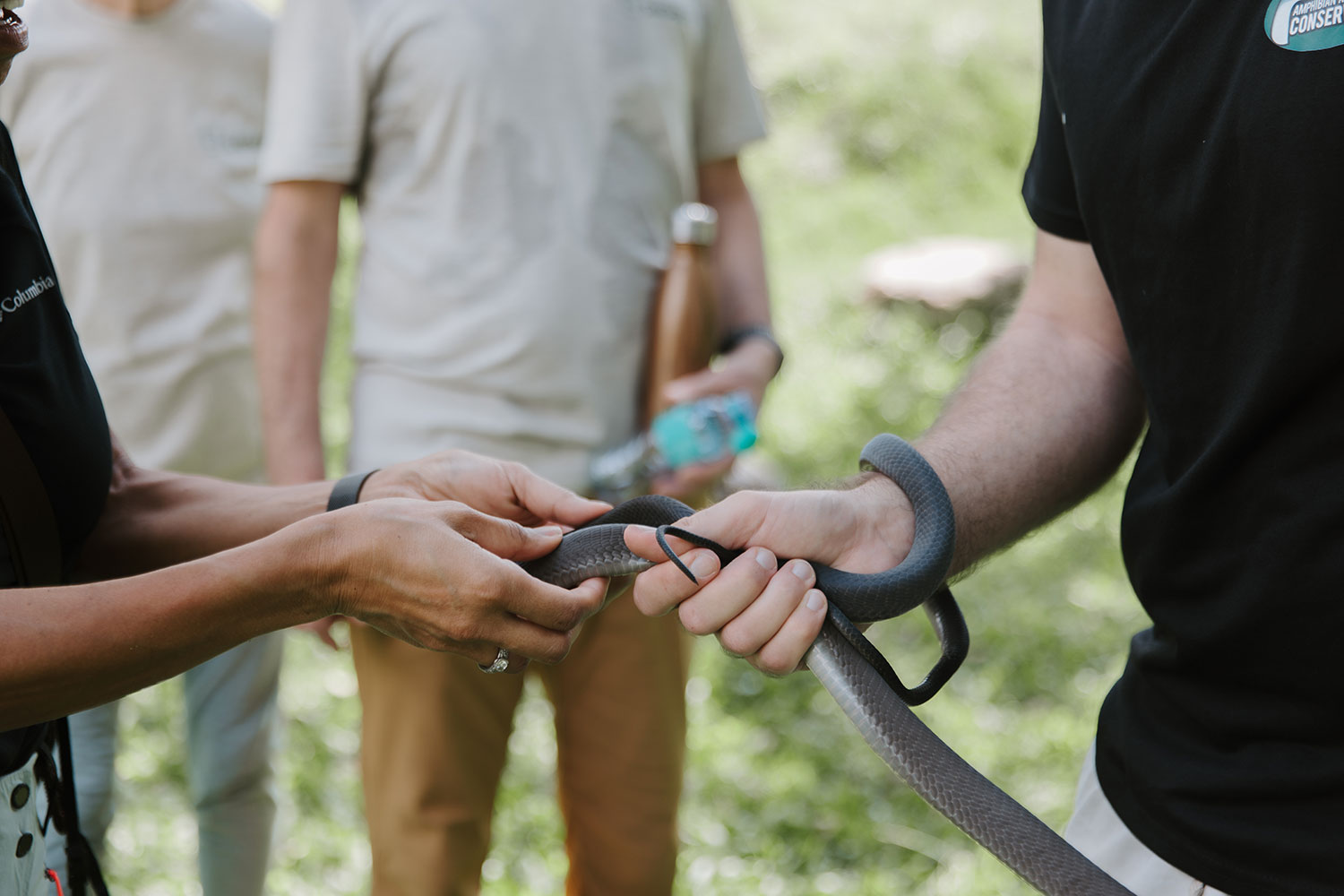 Guests learning to safely handle a snake with the reptile team
