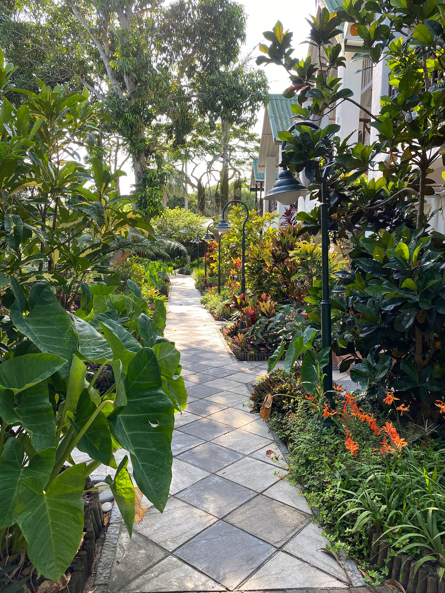 Lush tropical garden path through the lodge grounds