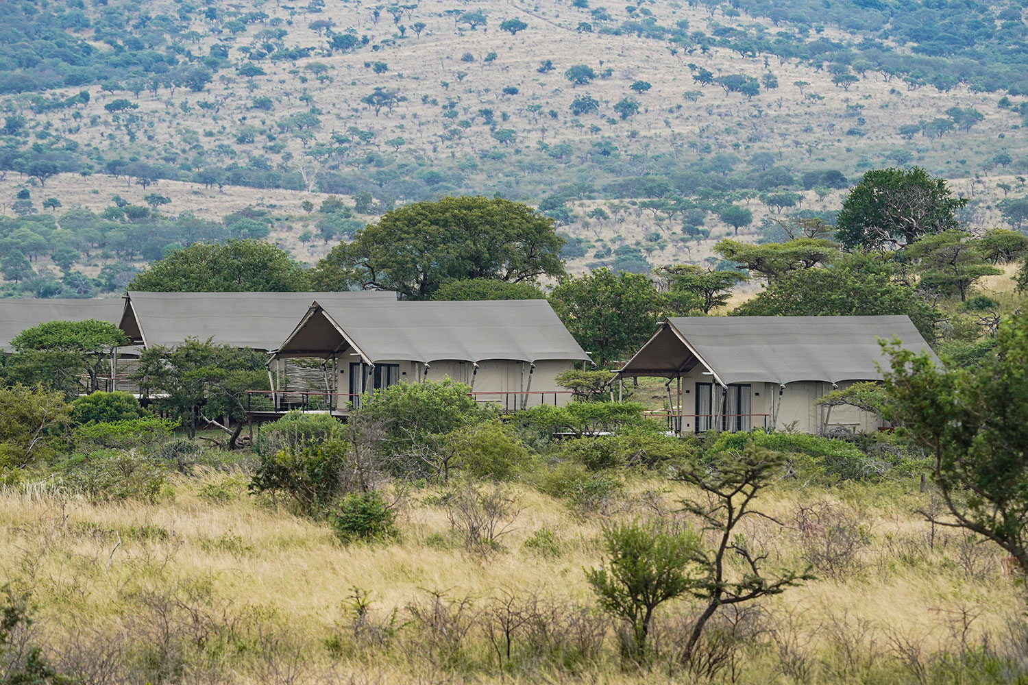Tented safari camp set in the bush at Manyoni Private Game Reserve