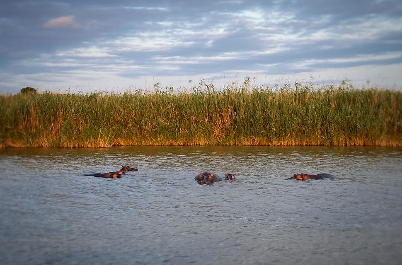 Wetlands, Zululand and Africa's oldest proclaimed game reserve, photo 1