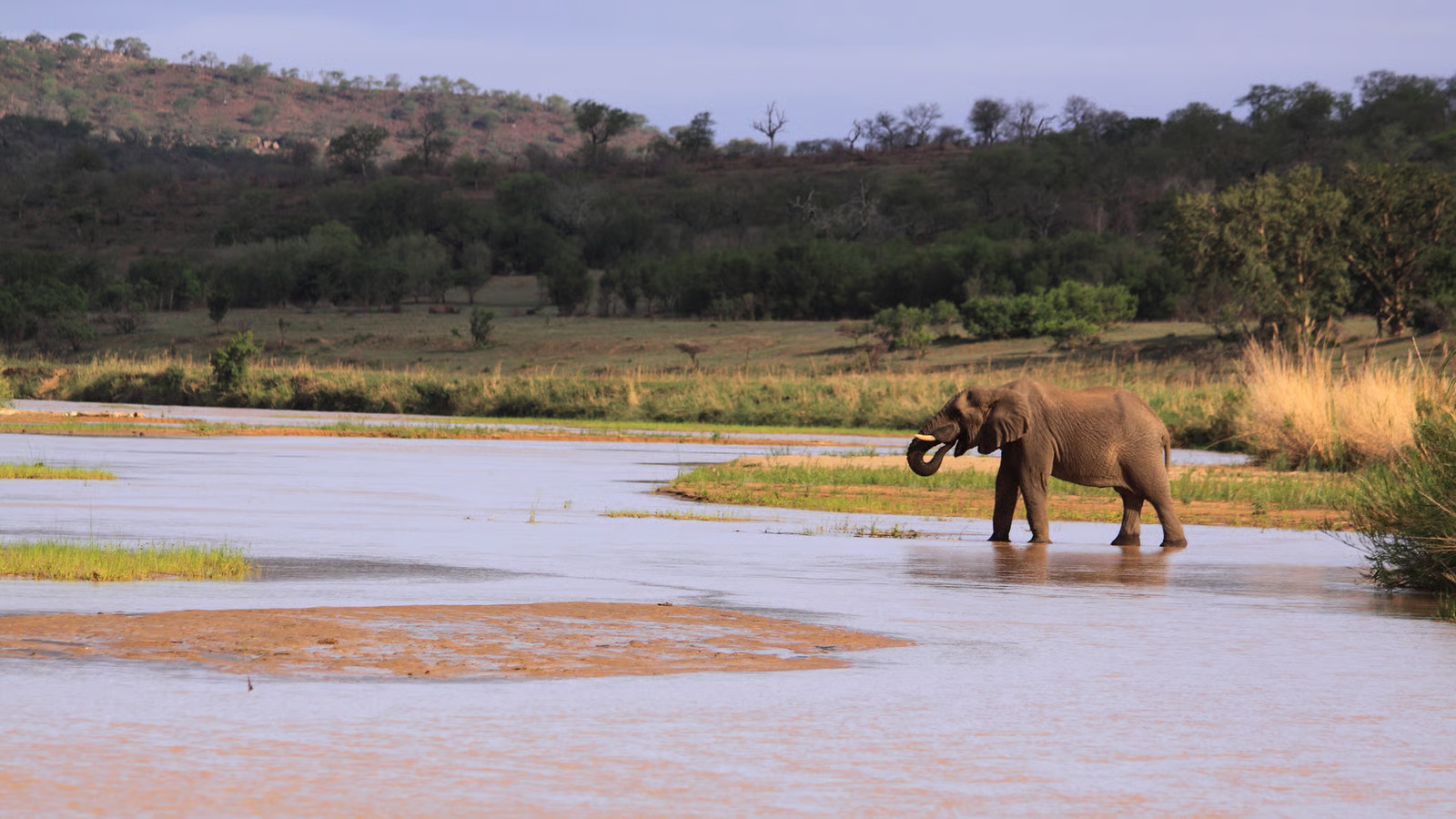 Cover image for: Why March & April Are a Great Time for a Safari in KwaZulu-Natal
