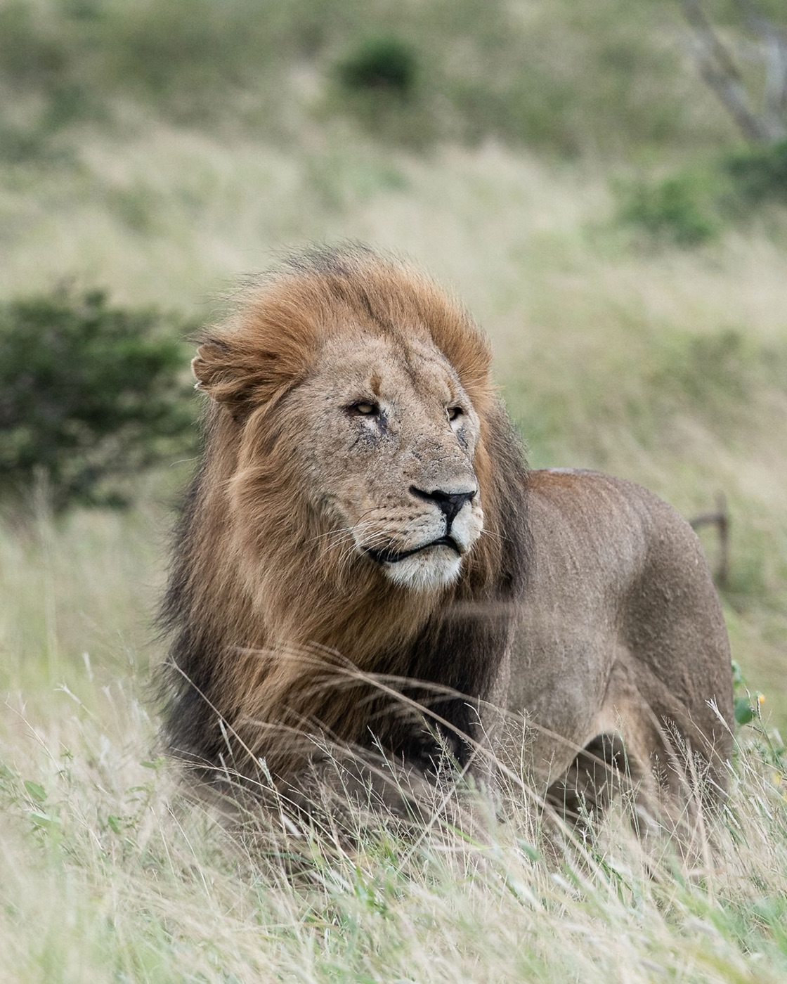 The 9-Day Legacy Conservation Safari, photo 11