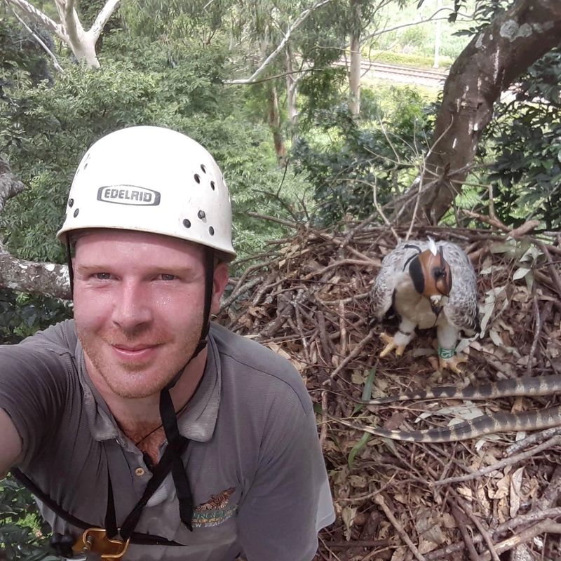 Dr Shane McPherson, African Crowned Eagle Research